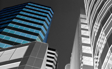 Symbiosis Search Management bios