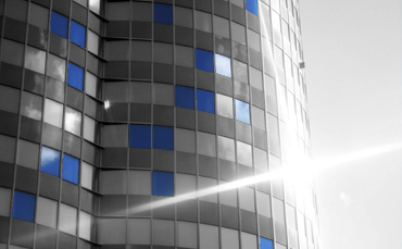 Symbiosis Search Who do we hire for